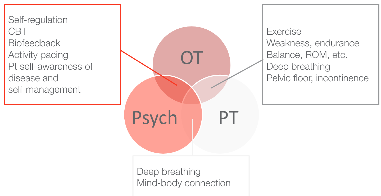 Example of OT, PT and Psychology disciplines working together