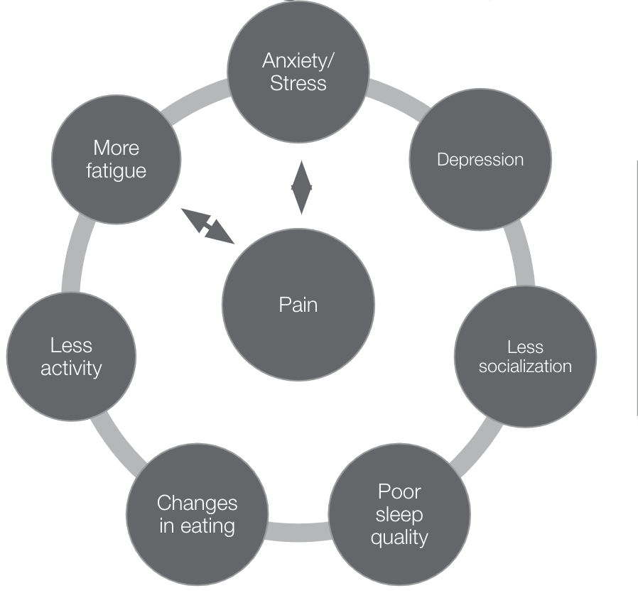 Factors associated with chronic pain