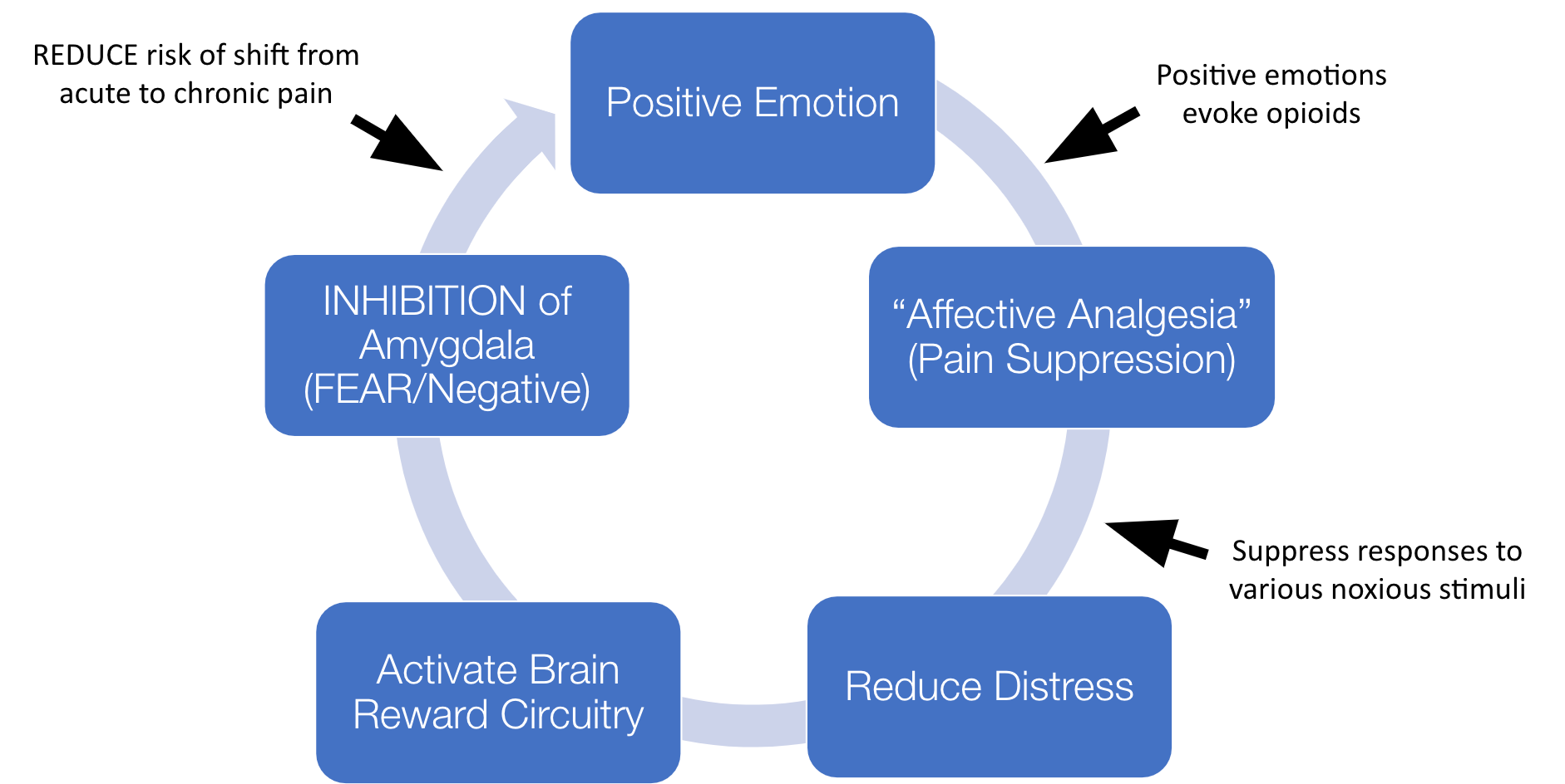 Pain cycle