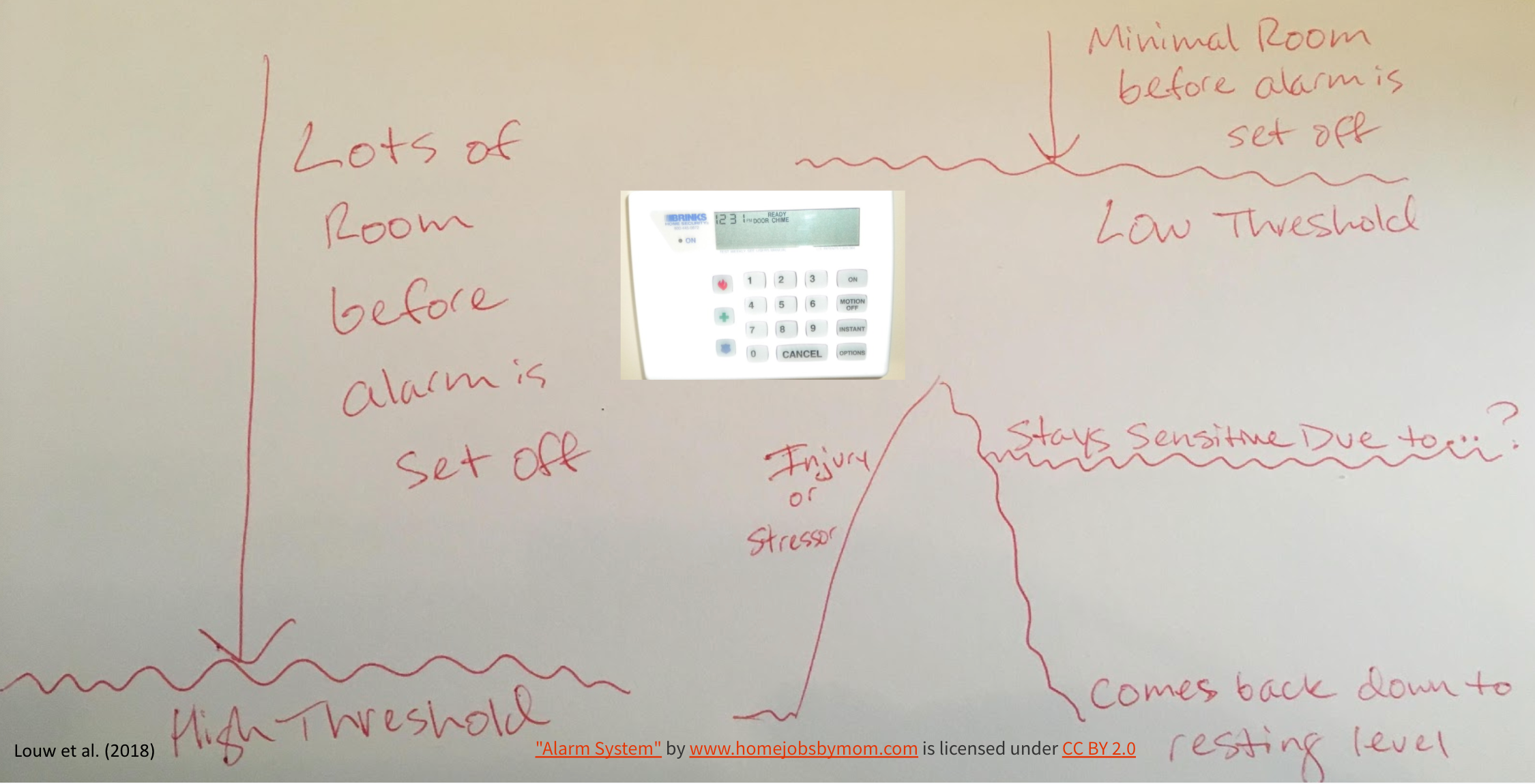 Graphic explaining how the nervous system acts like an alarm system
