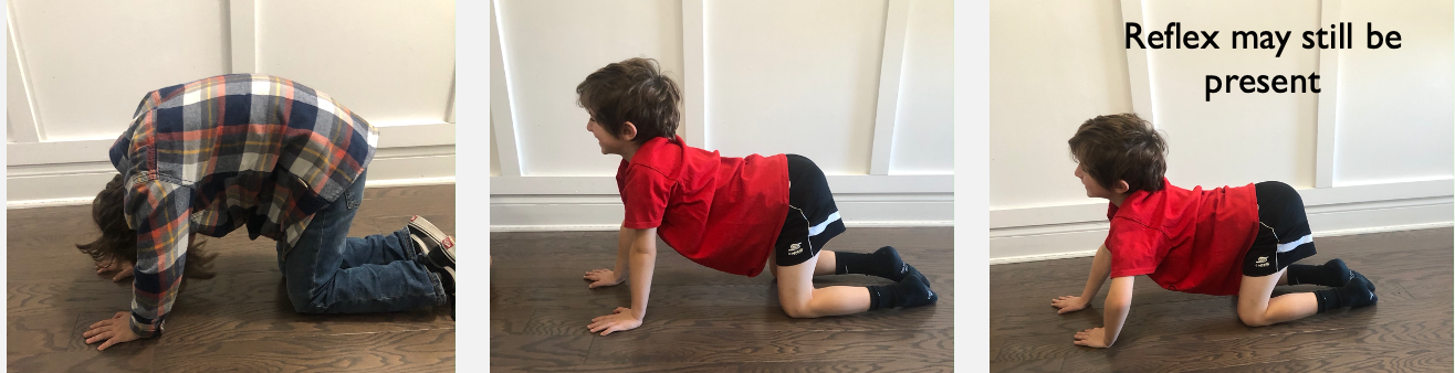 Testing for STNR in two positions in quadruped with one example of retention shown