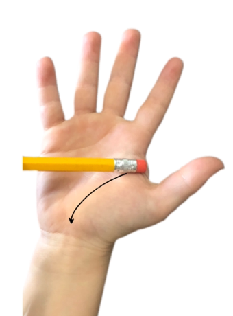 Demonstration of where to test of palmar grasp reflex retention on the palm of a hand