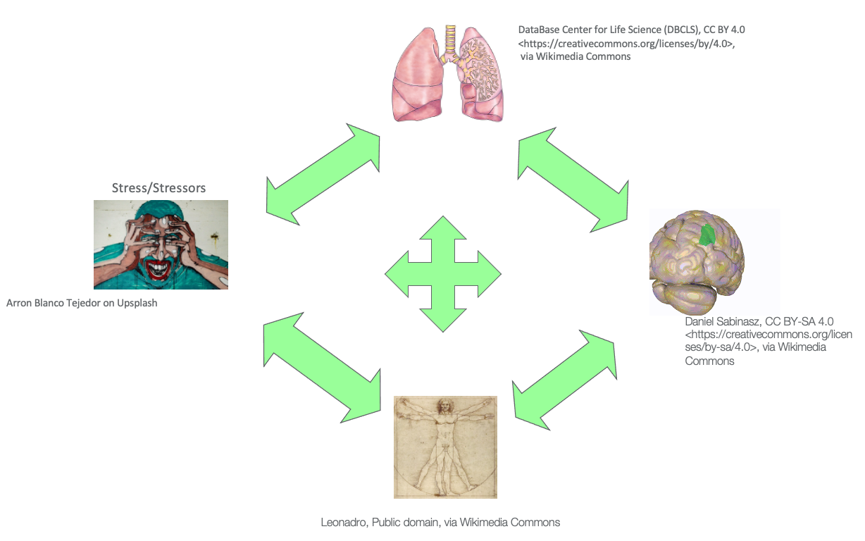 Figure 20