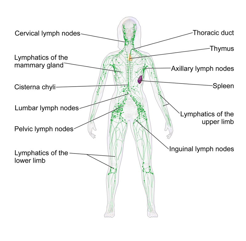 Figure 14