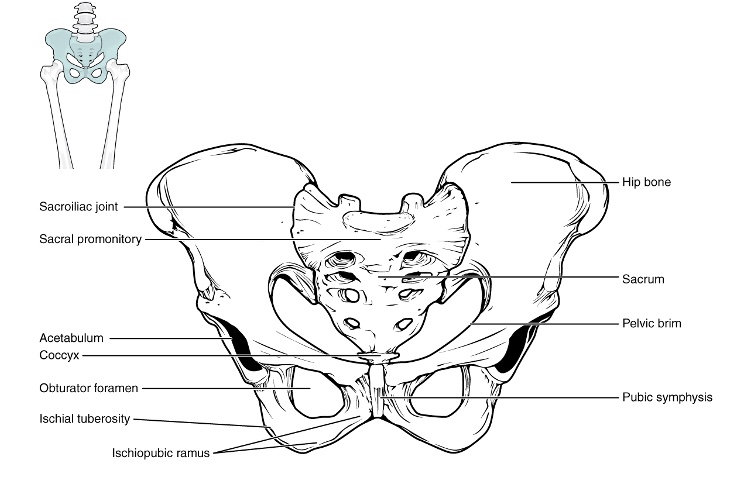 Figure 18