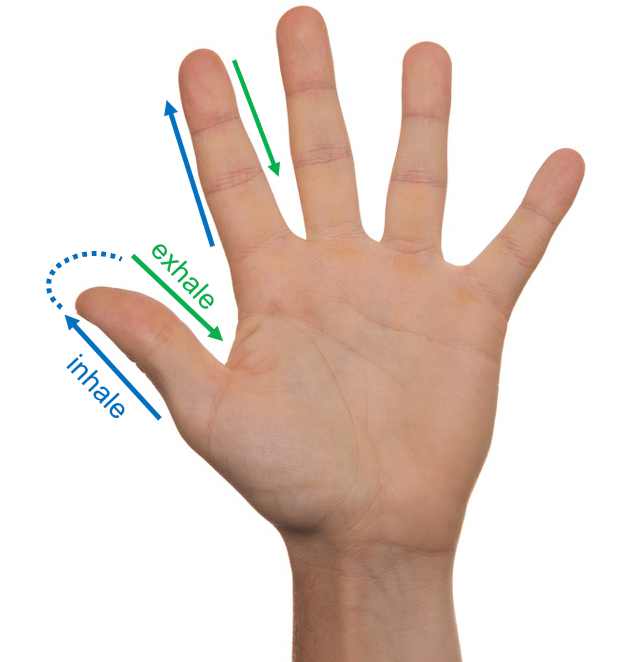 Figure 5