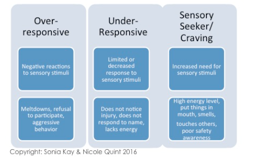 Diagram showing over-responsive, under-responsive, and sensory seeker/craving categories of sensory dysregulation