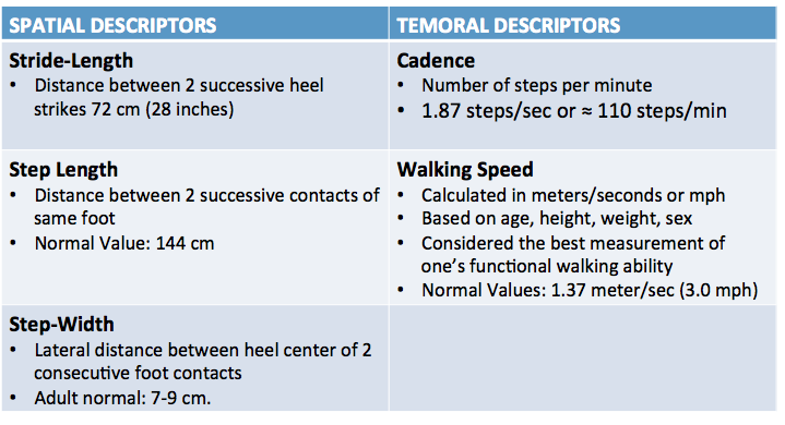 Table of spatial and temporal descriptors associated with the gait for a seven foot eight inch male