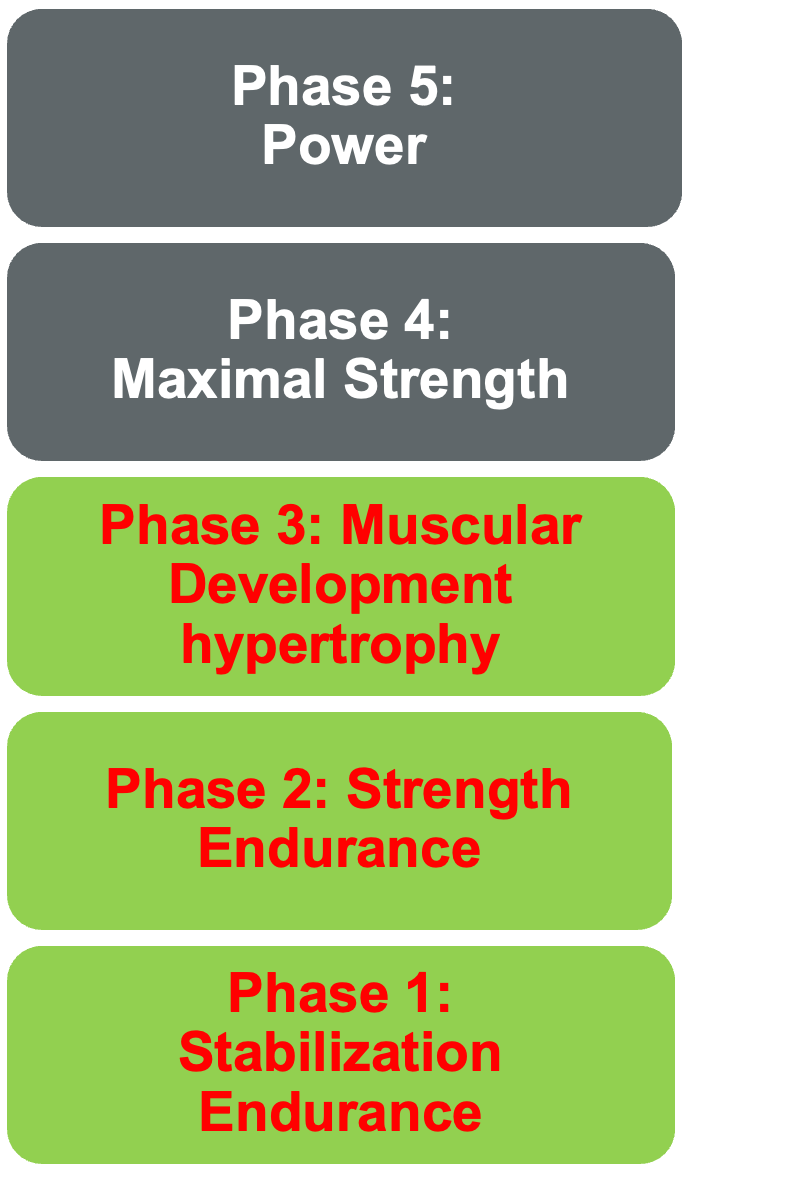 The National Academy of Sports Medicine's Optimum Performance Training Model.