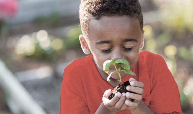 Sensory Processing For Early Education