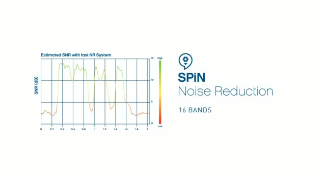 Screenshot of video of information about SPiN Management