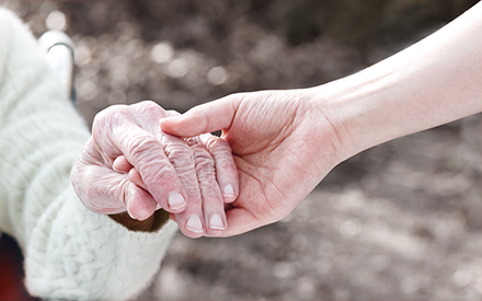 gerontology