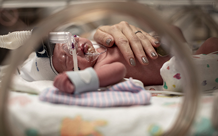 a hand holding a newborn on ventilation in NICU