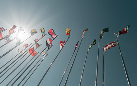 various flags of the world indicating cultural competency